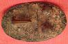 Stud-Hook Style Federal Waist Belt Plate Dug in South Carolina