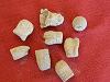 Eight Fired Bullets from Dalton, Georgia